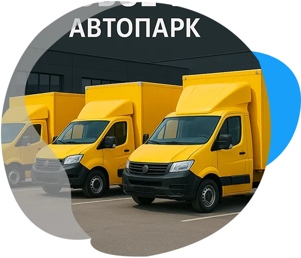 Экономная доставка в Шишкином Лесу