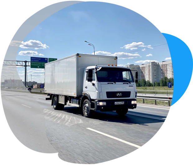 Бычок 3 тонны (Михаил Т.) в г. Лесные поляны